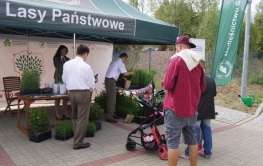 „100 tys. drzew na 100-lecie niepodległości Polski 1918 - 2018” Podsumowanie akcji w Zielonej Górze