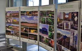 Kampania informacyjna - Ankieta i prezentacje