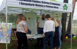 Sprawdziliśmy to - ekologia niejedno ma imię 