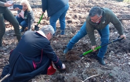 „Nie będzie nas - będzie las” – Fundusz w akcji zalesiania.