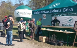 „Nie będzie nas - będzie las” – Fundusz w akcji zalesiania.