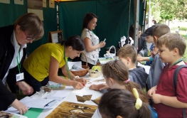 Piątkowy Festyn Ekologiczny zakończony