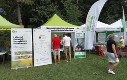 Doradcy energetyczni na eliminacji Bitwy Regionów