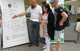 Dni Zielonej Góry - dniami doradztwa