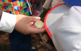 Dofinansowanie modernizacji ścieżki przyrodniczo-leśnej