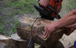 Dofinansowanie modernizacji ścieżki przyrodniczo-leśnej