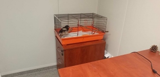 Ptasi Azyl już otwarty!