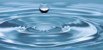 Odbudowa ekosystemu i różnorodności biologicznej rzeki Odry” Dotacja w ramach Programu własnego WFOŚiGW w Zielonej Górze