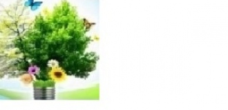 Alokacja środków w ramach nowych programów pomocowych WFOŚiGW po pierwszym miesiącu 