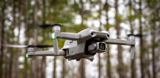 Dotacja dla Lasów Państwowych na zwalczanie zagrożeń środowiska w lubuskich lasach